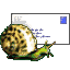 Snail Mail