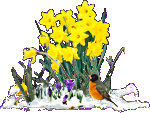 Welcome Spring! Welcome Spring!